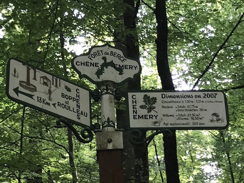 croisé des chemins