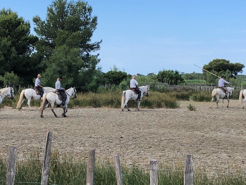 Aigues Mortes