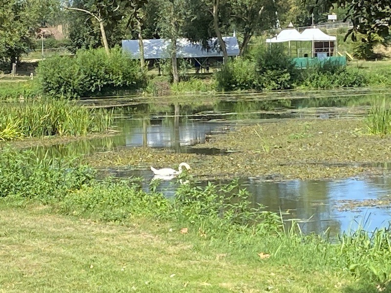 Bord de l'eau à mezeray