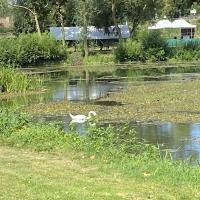 Bord de l'eau à mezeray