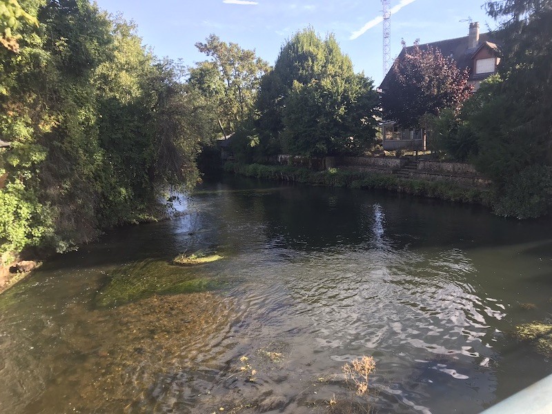 Bras du loir