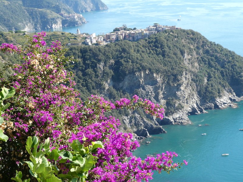 Corniglia