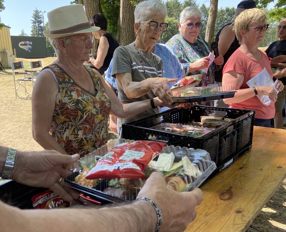 distribution picnic