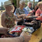 distribution picnic