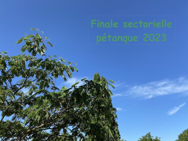 Finale sectorielle 2023