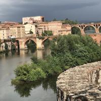 Albi