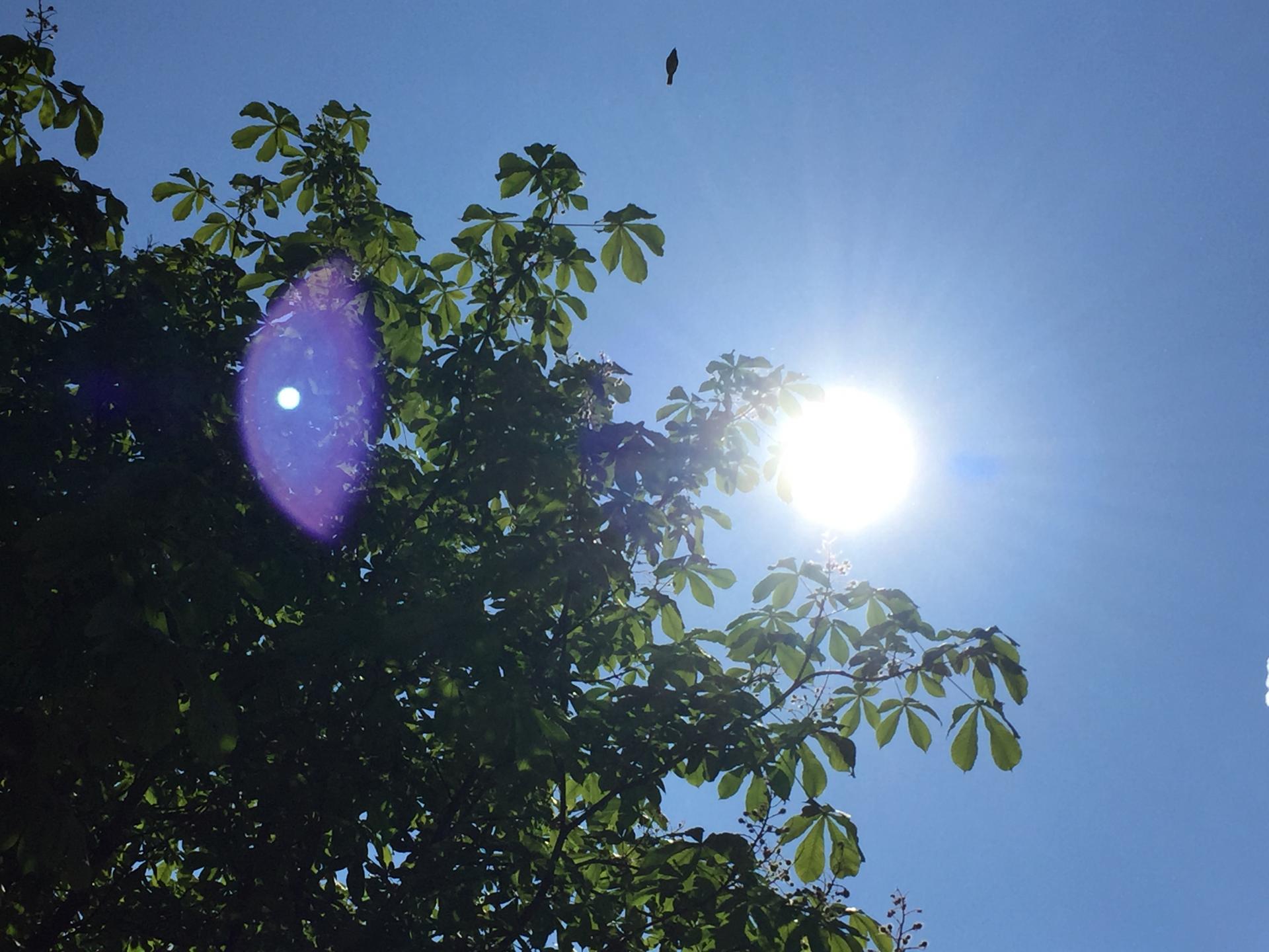 PARIGNÉ 22 MAI - LE SOLEIL BRILLE ET 92 JOUEURS