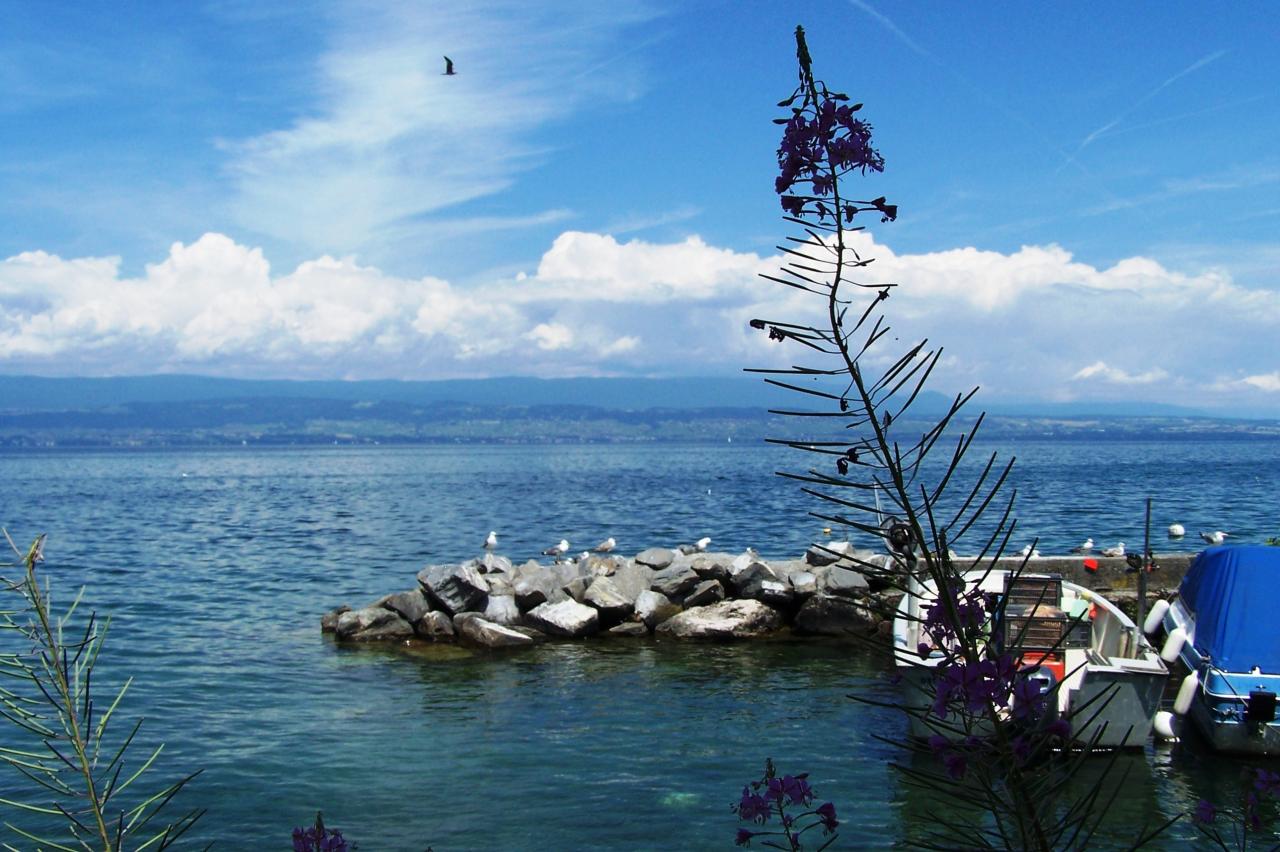 Lac Léman