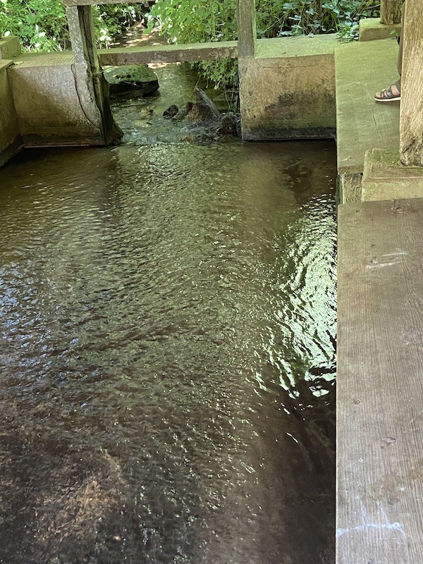 Lavoir à Bousse