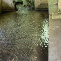 Lavoir à Bousse