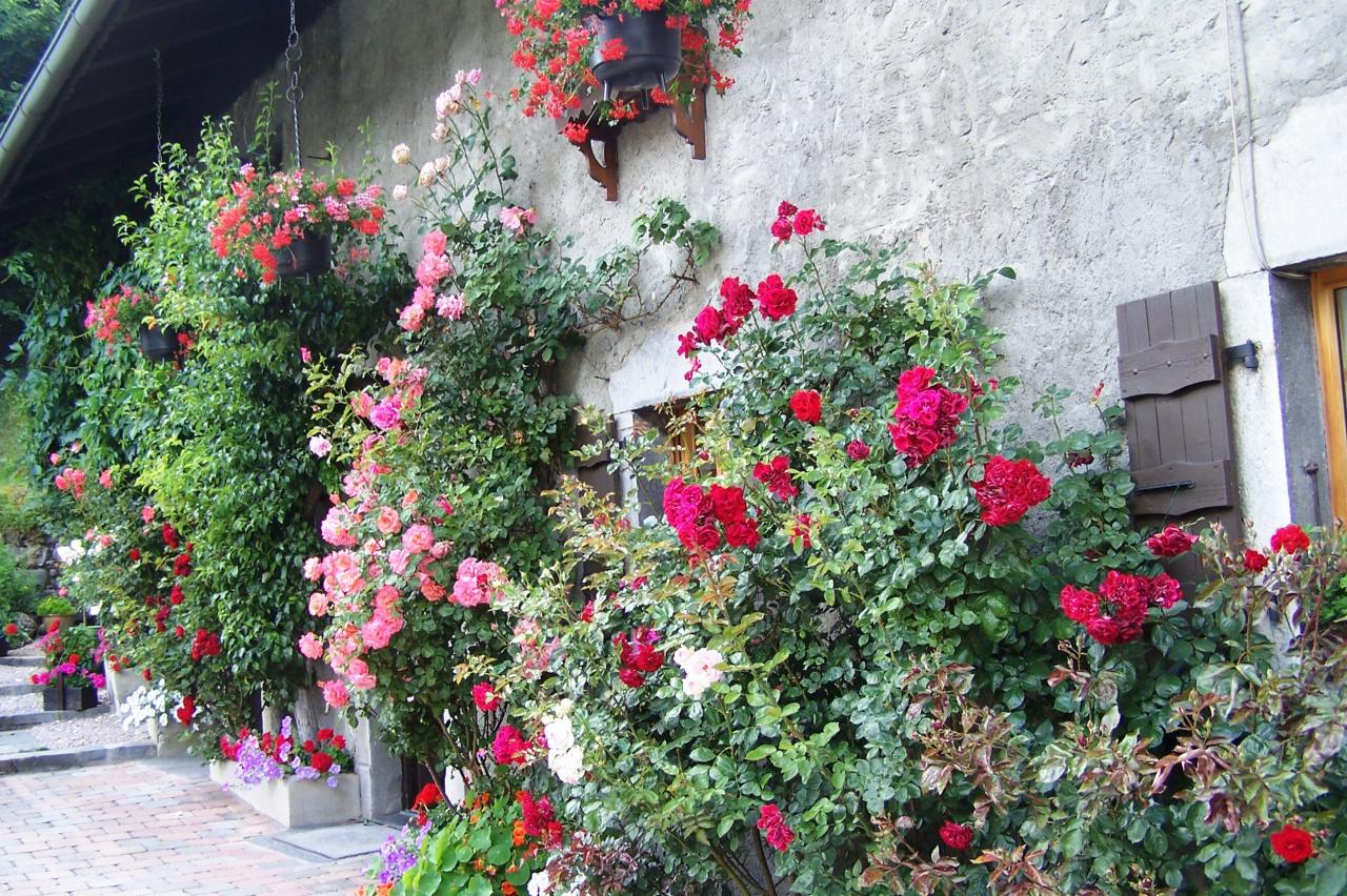 Morzine, ses rues fleuries