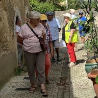 Promenade à Malicorne