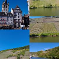 Sarrebourg 