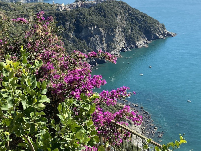 Vernazza