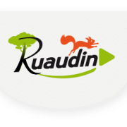 Logo header ruaudin ombre